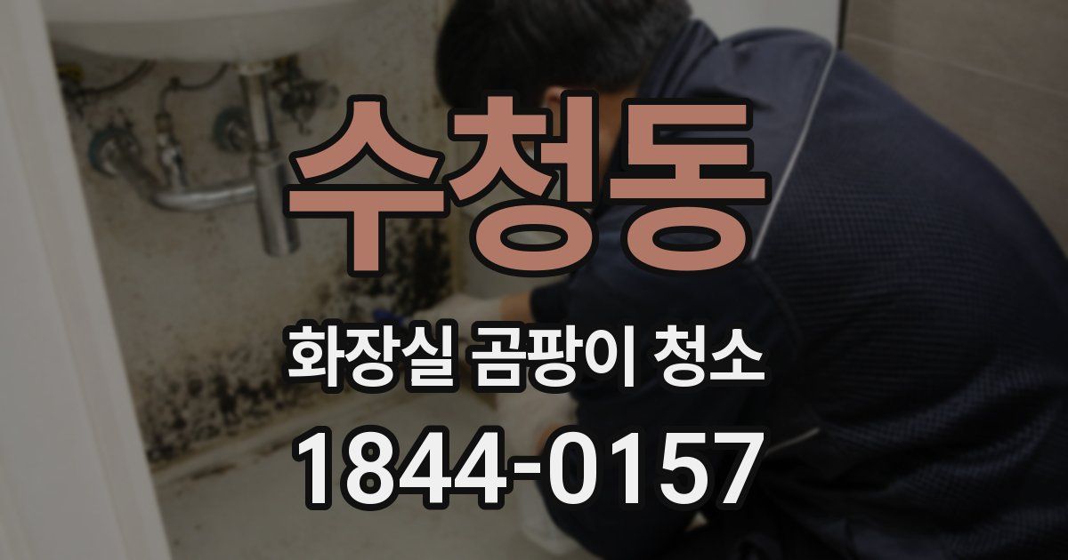 수청동 화장실 곰팡이 청소