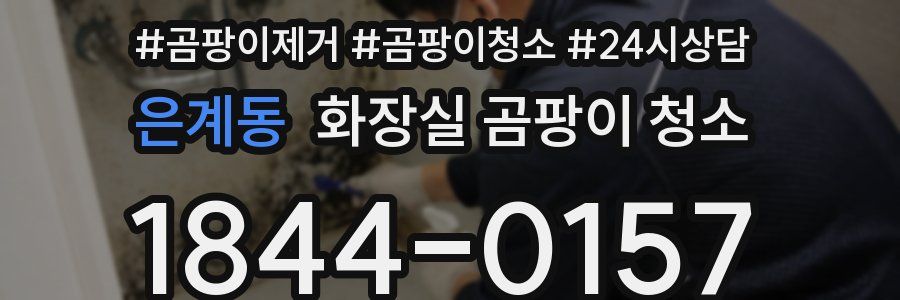 은계동 화장실 곰팡이 청소