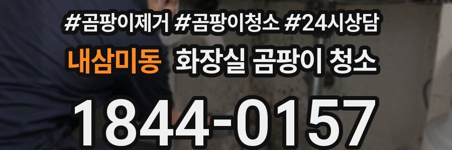 내삼미동 화장실 곰팡이 청소