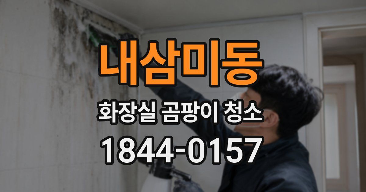 내삼미동 화장실 곰팡이 청소