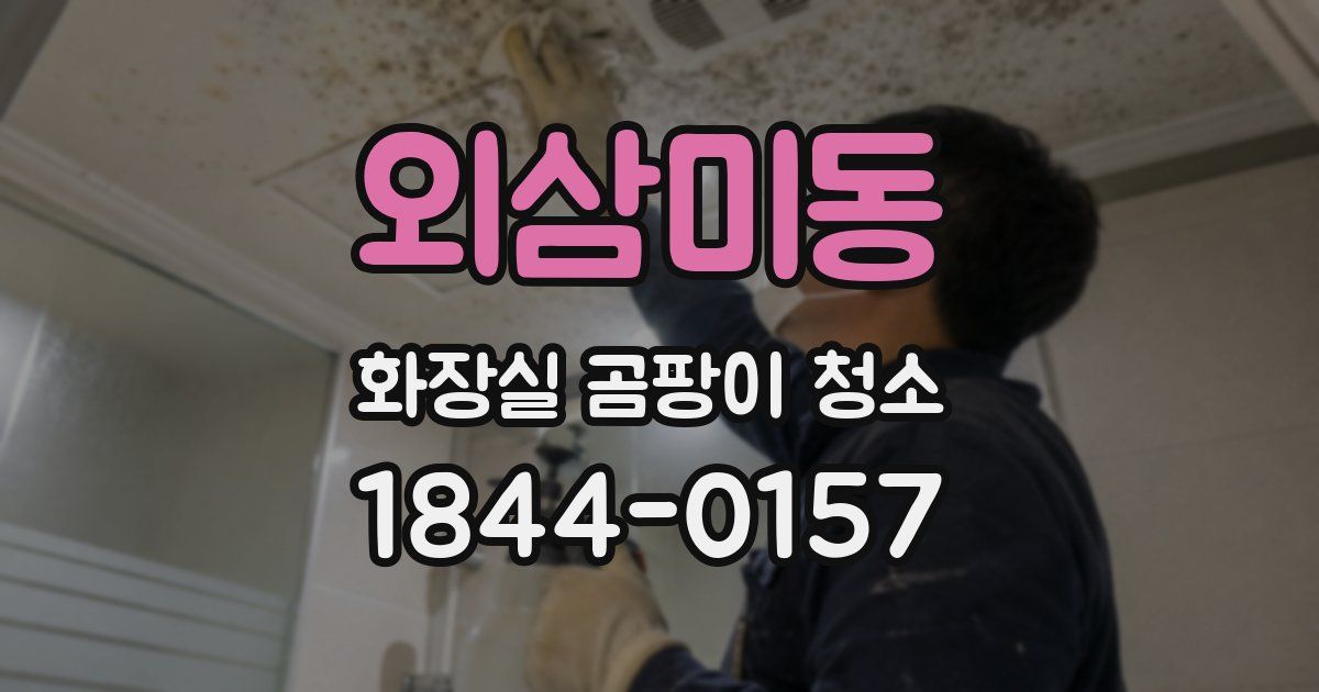 외삼미동 화장실 곰팡이 청소