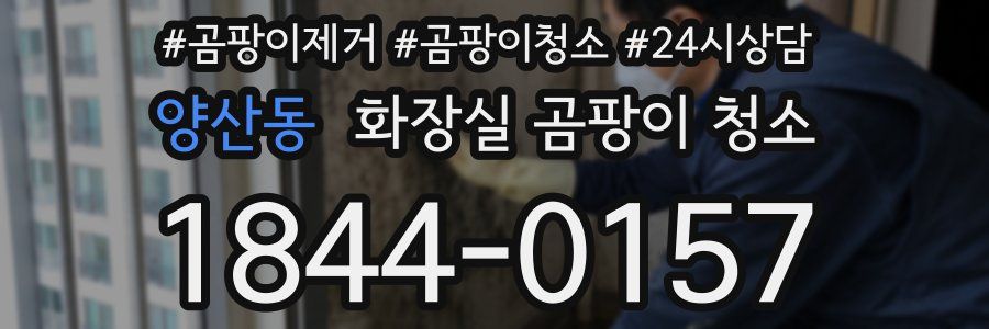 양산동 화장실 곰팡이 청소