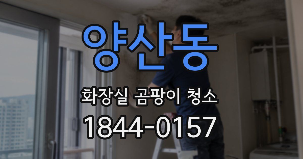 양산동 화장실 곰팡이 청소