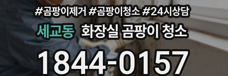 세교동 화장실 곰팡이 청소