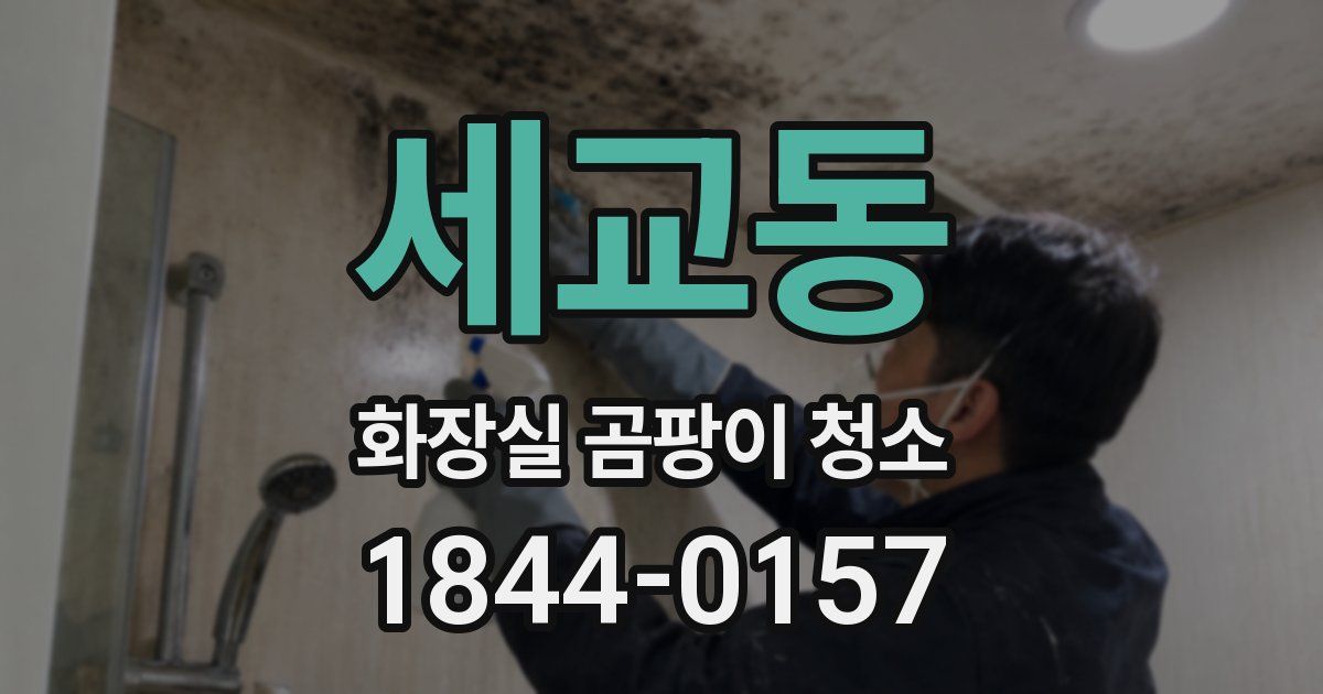 세교동 화장실 곰팡이 청소
