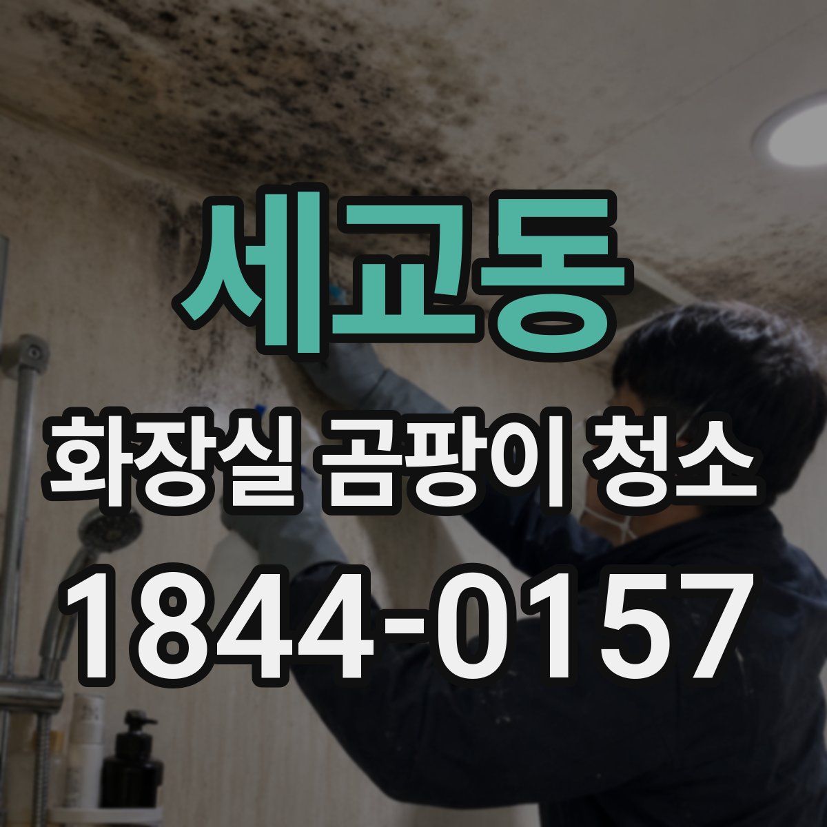 세교동 화장실 곰팡이 청소