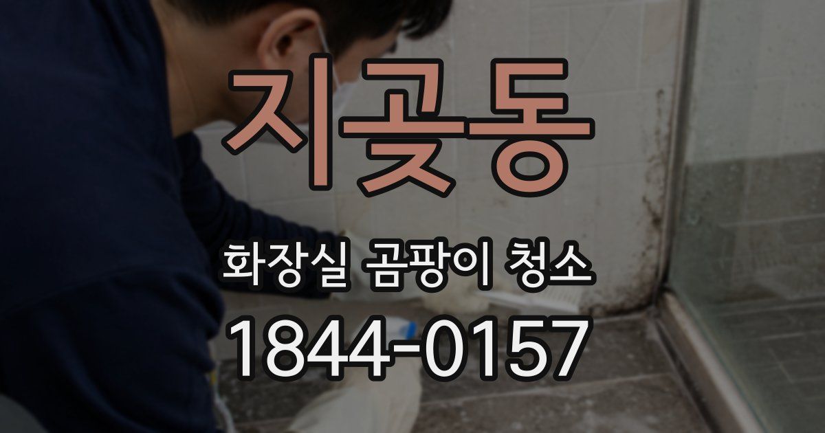 지곶동 화장실 곰팡이 청소