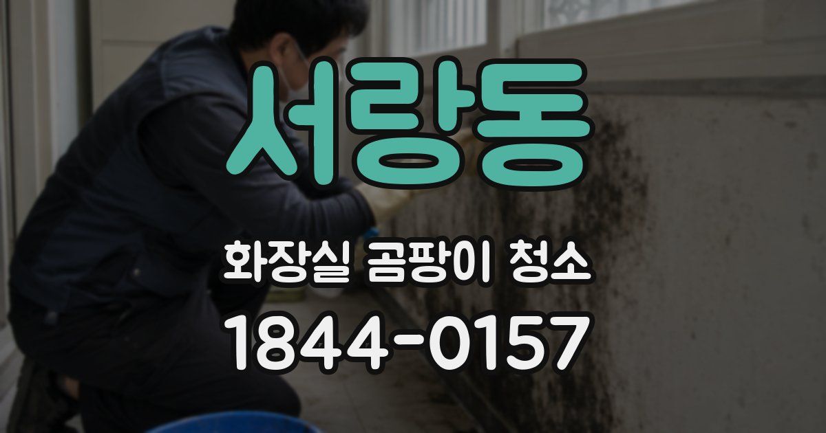 서랑동 화장실 곰팡이 청소