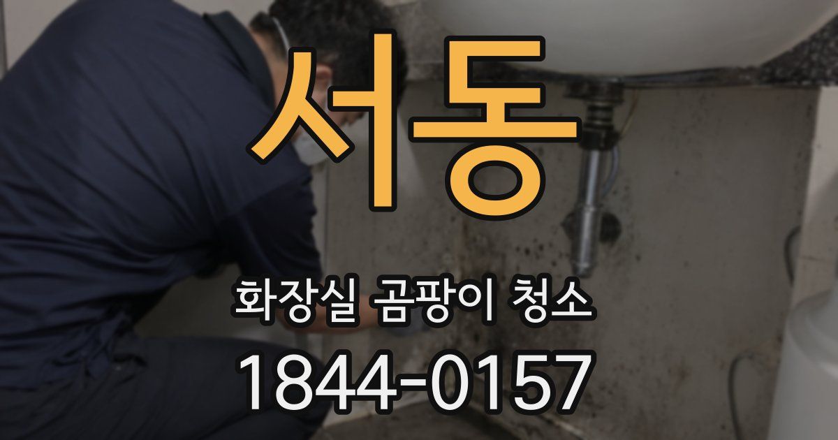 서동 화장실 곰팡이 청소