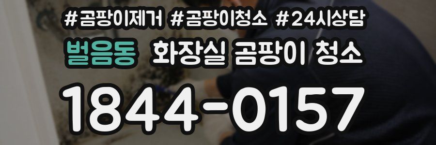 벌음동 화장실 곰팡이 청소