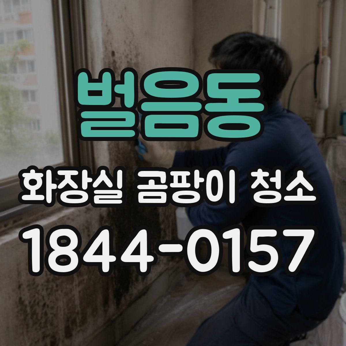 벌음동 화장실 곰팡이 청소