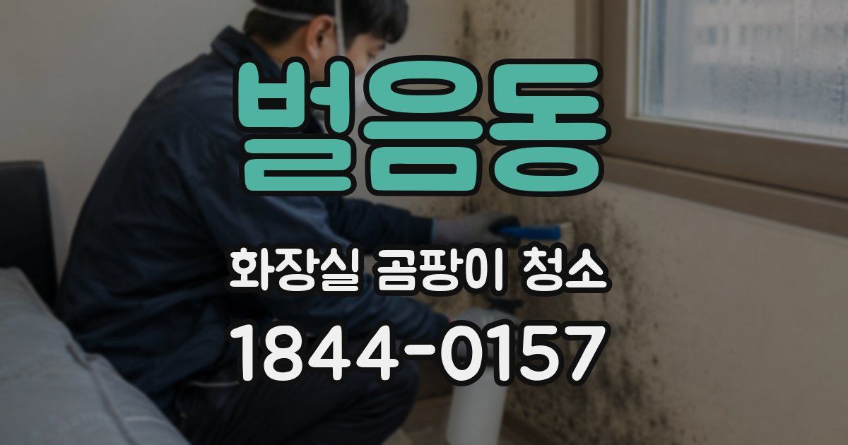 벌음동 화장실 곰팡이 청소
