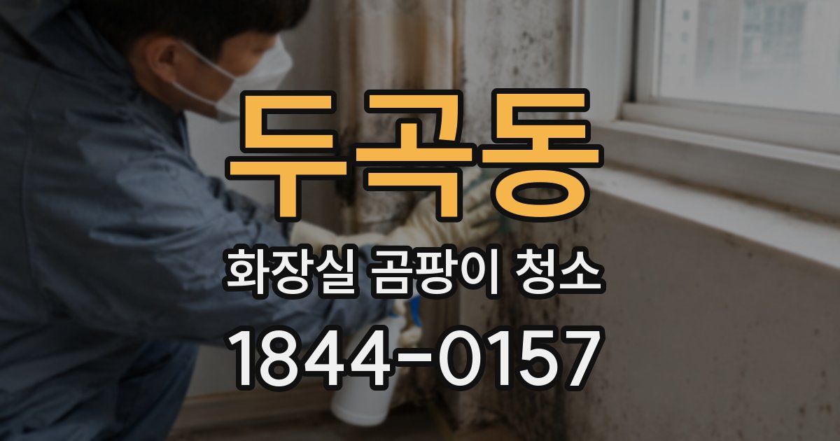두곡동 화장실 곰팡이 청소