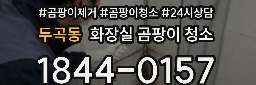 두곡동 화장실 곰팡이 청소