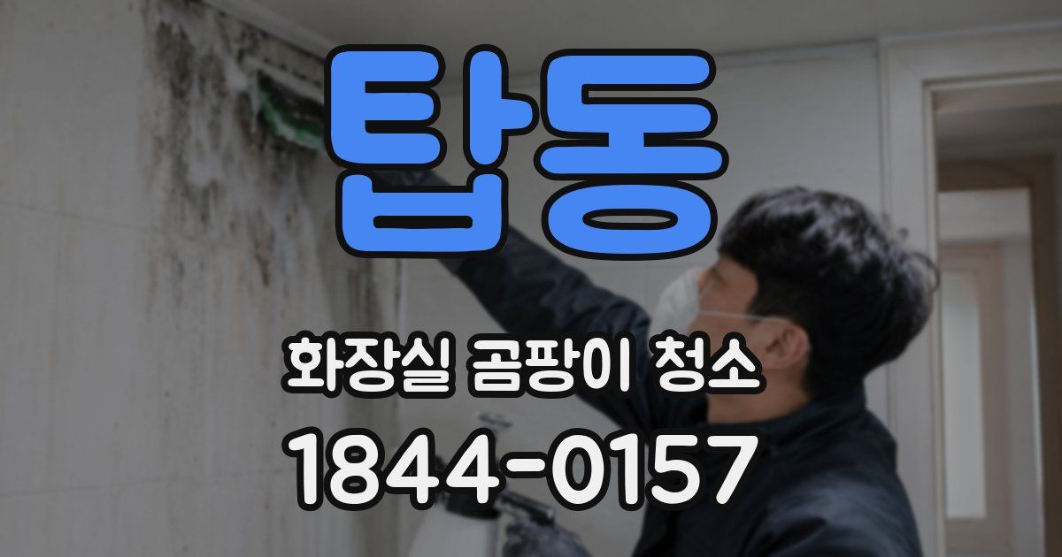 탑동 화장실 곰팡이 청소