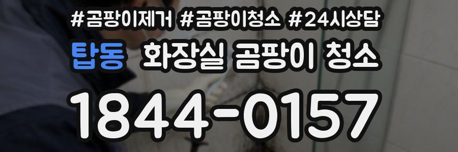 탑동 화장실 곰팡이 청소