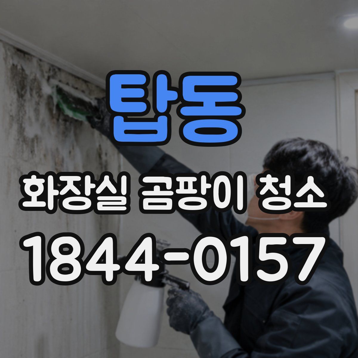 탑동 화장실 곰팡이 청소