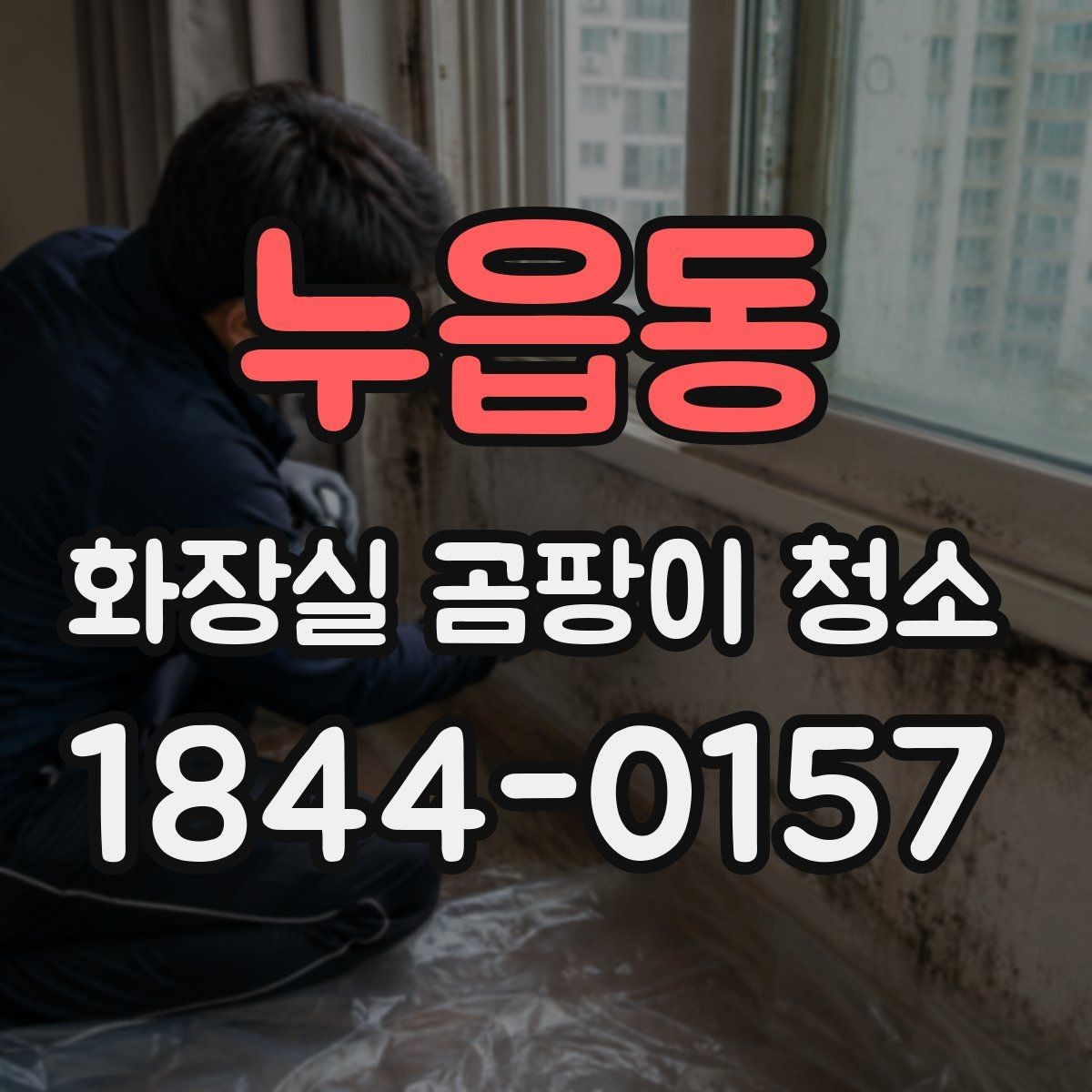 누읍동 화장실 곰팡이 청소 환기 부족한 공간의 습기 관리법