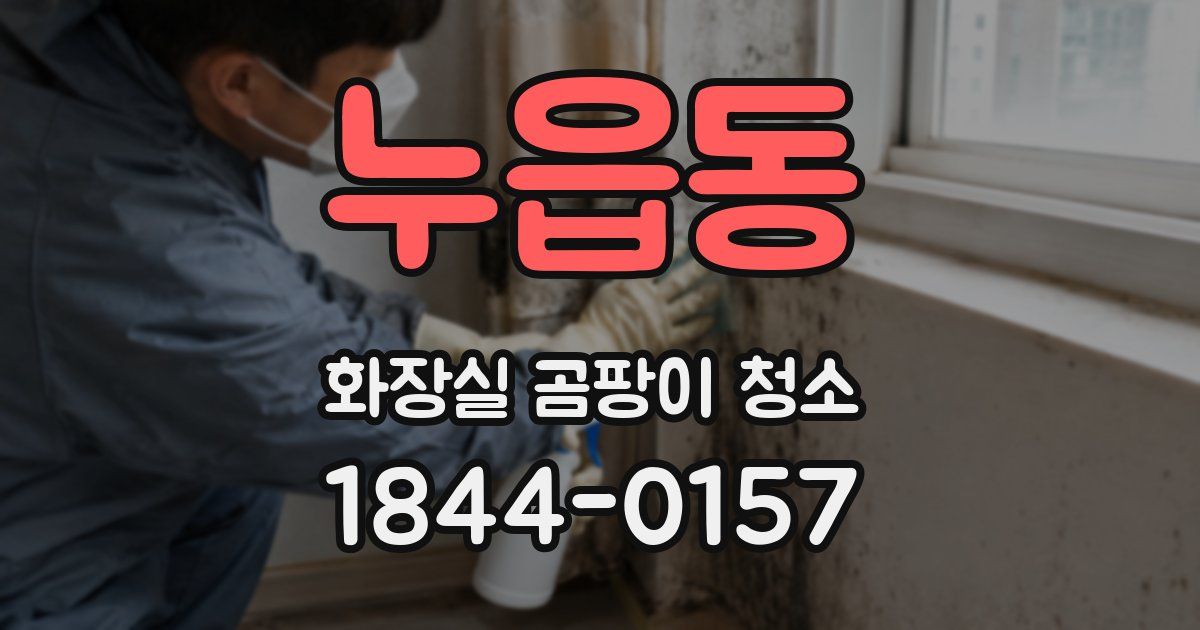 누읍동 화장실 곰팡이 청소