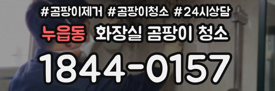 누읍동 화장실 곰팡이 청소