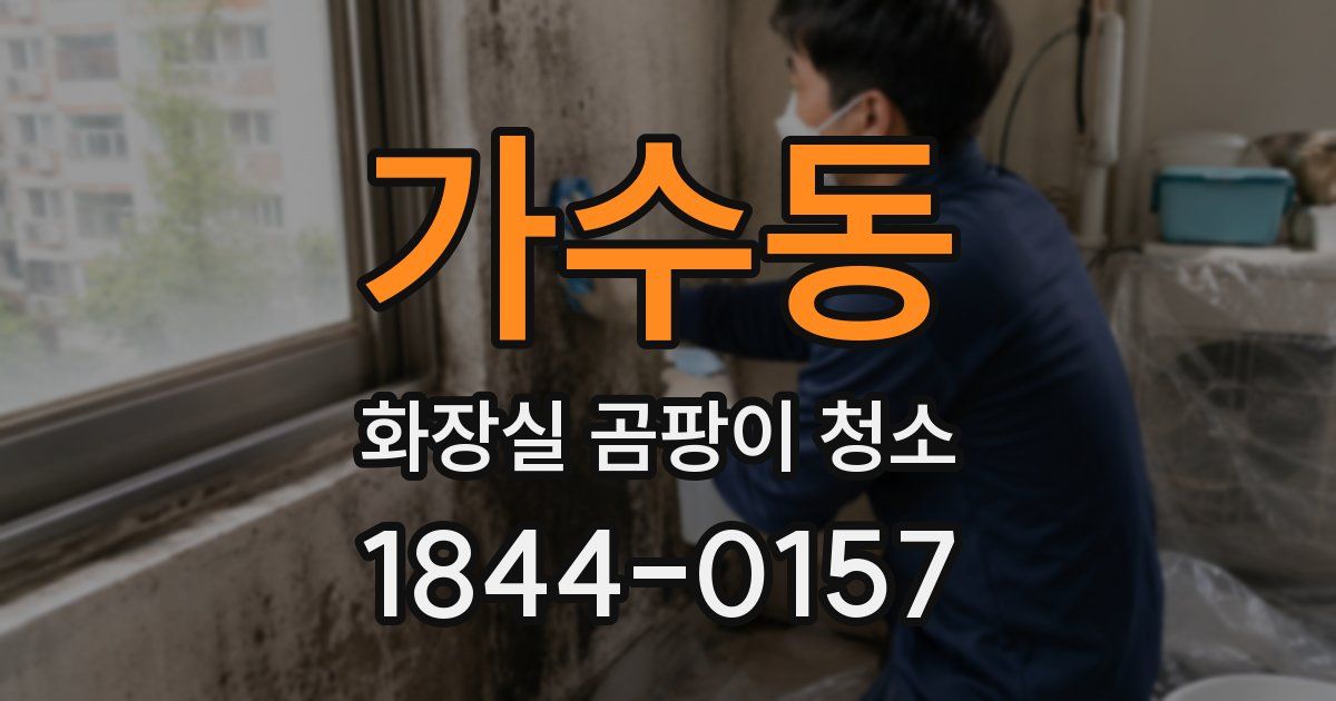 가수동 화장실 곰팡이 청소