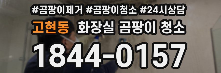 고현동 화장실 곰팡이 청소