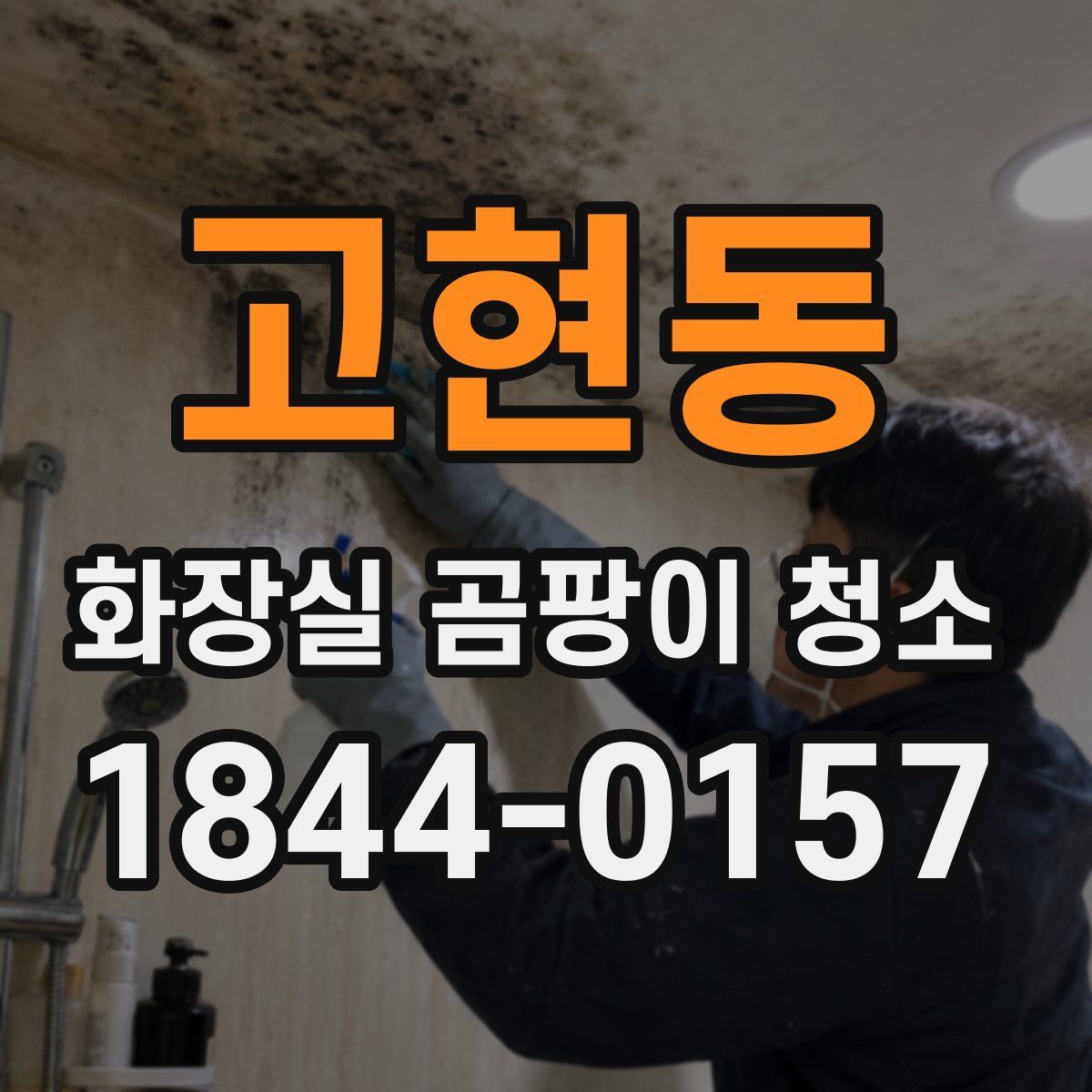 고현동 화장실 곰팡이 청소