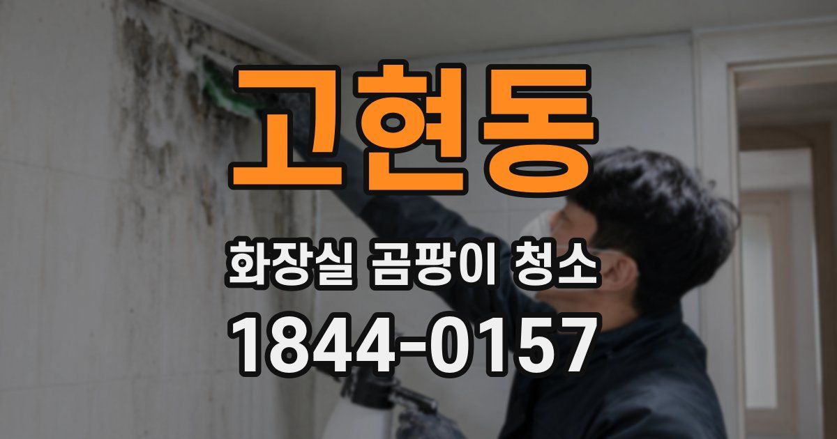 고현동 화장실 곰팡이 청소