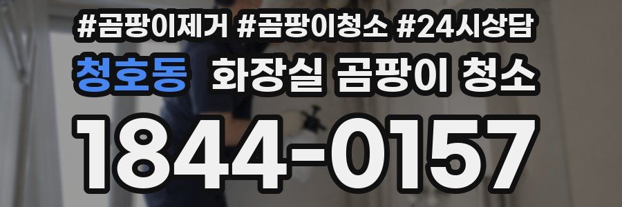 청호동 화장실 곰팡이 청소