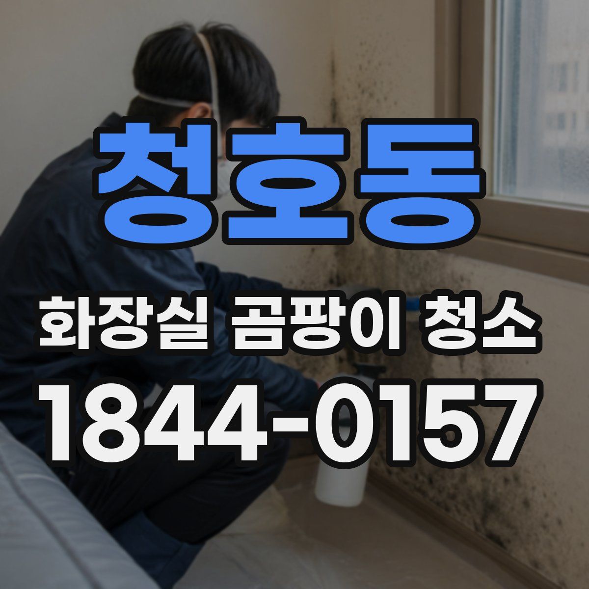 청호동 화장실 곰팡이 청소