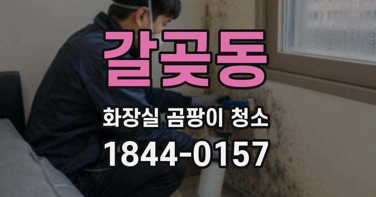 갈곶동 화장실 곰팡이 청소