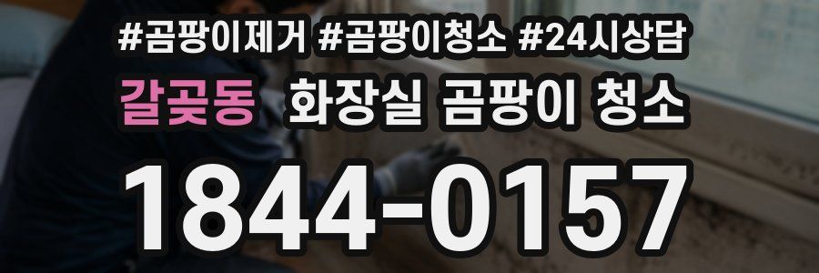 갈곶동 화장실 곰팡이 청소