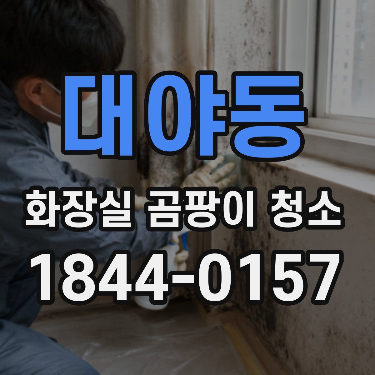 대야동 화장실 곰팡이 청소