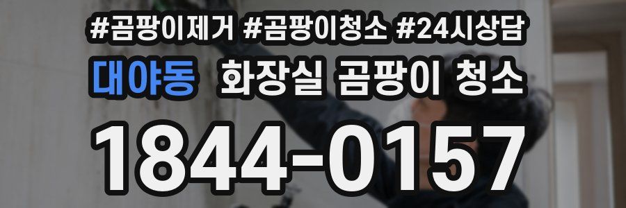 대야동 화장실 곰팡이 청소