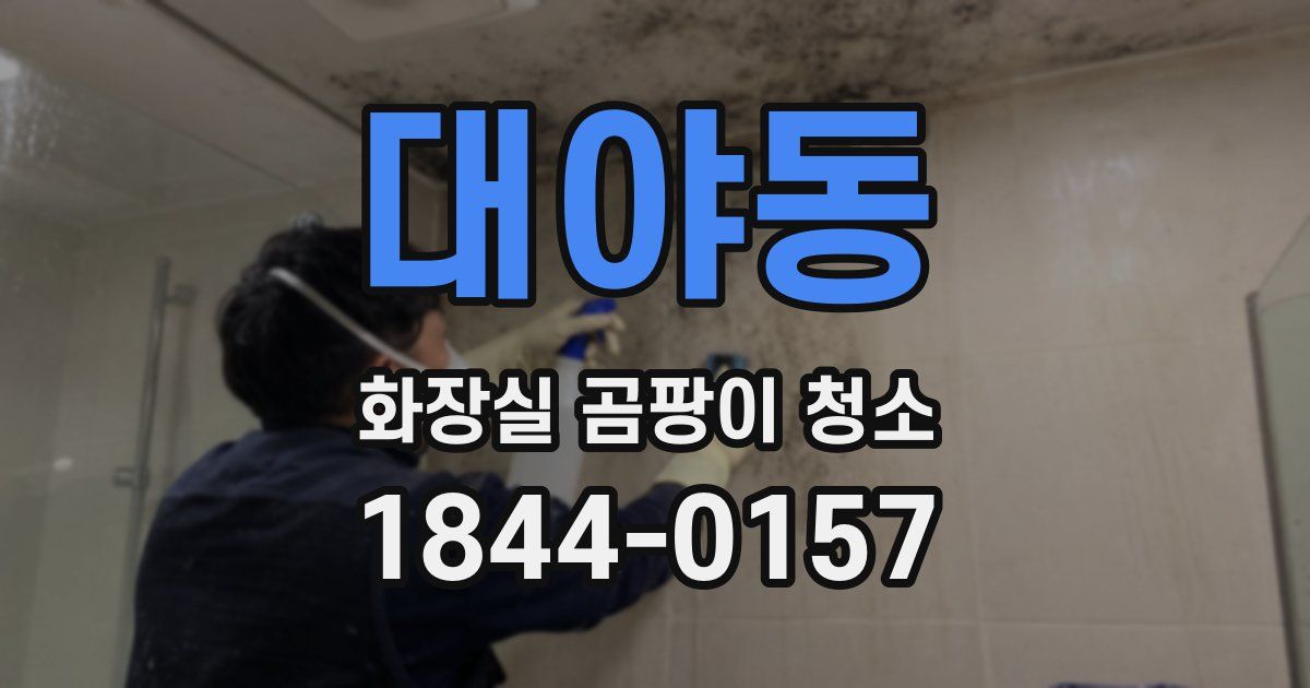 대야동 화장실 곰팡이 청소