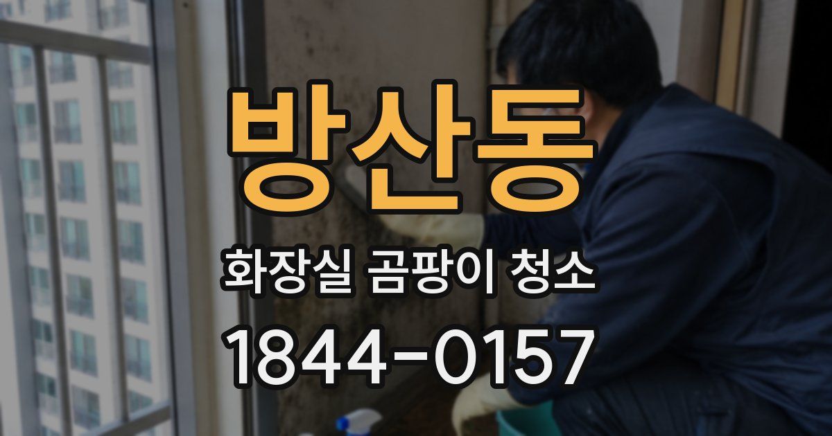 방산동 화장실 곰팡이 청소