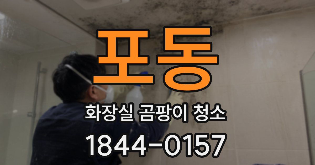 포동 화장실 곰팡이 청소