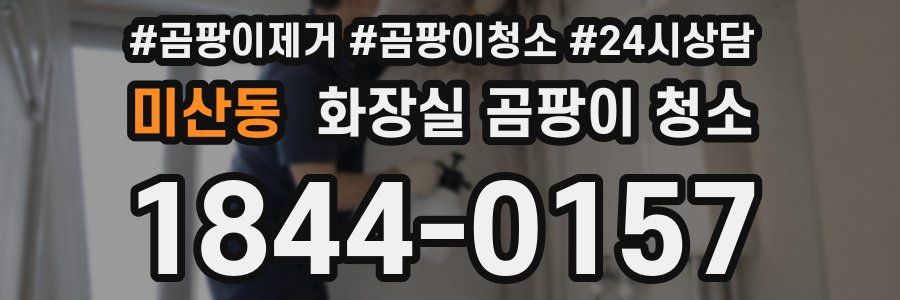 미산동 화장실 곰팡이 청소