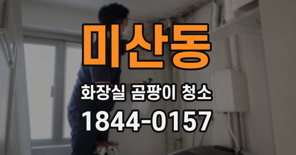 미산동 화장실 곰팡이 청소