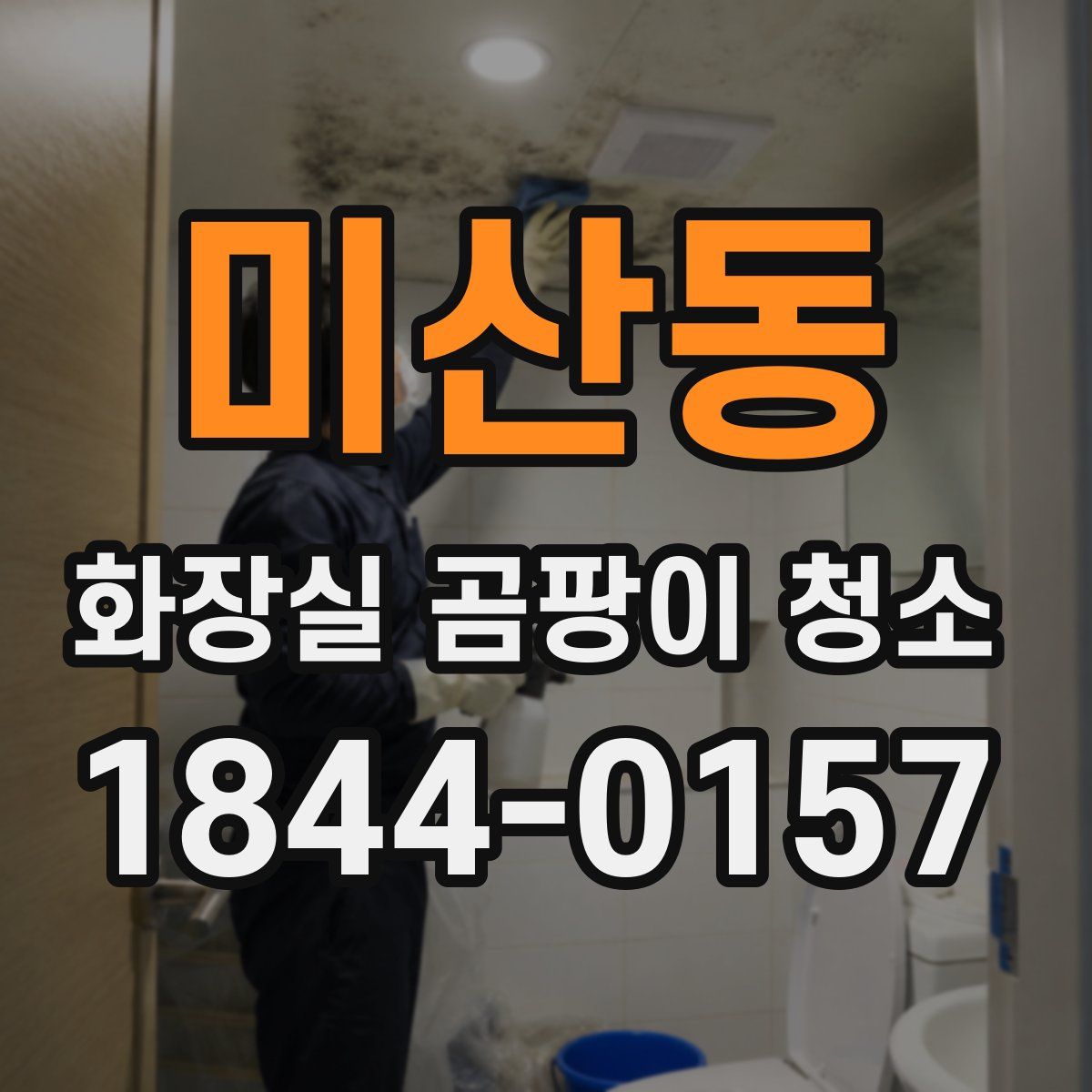 미산동 화장실 곰팡이 청소