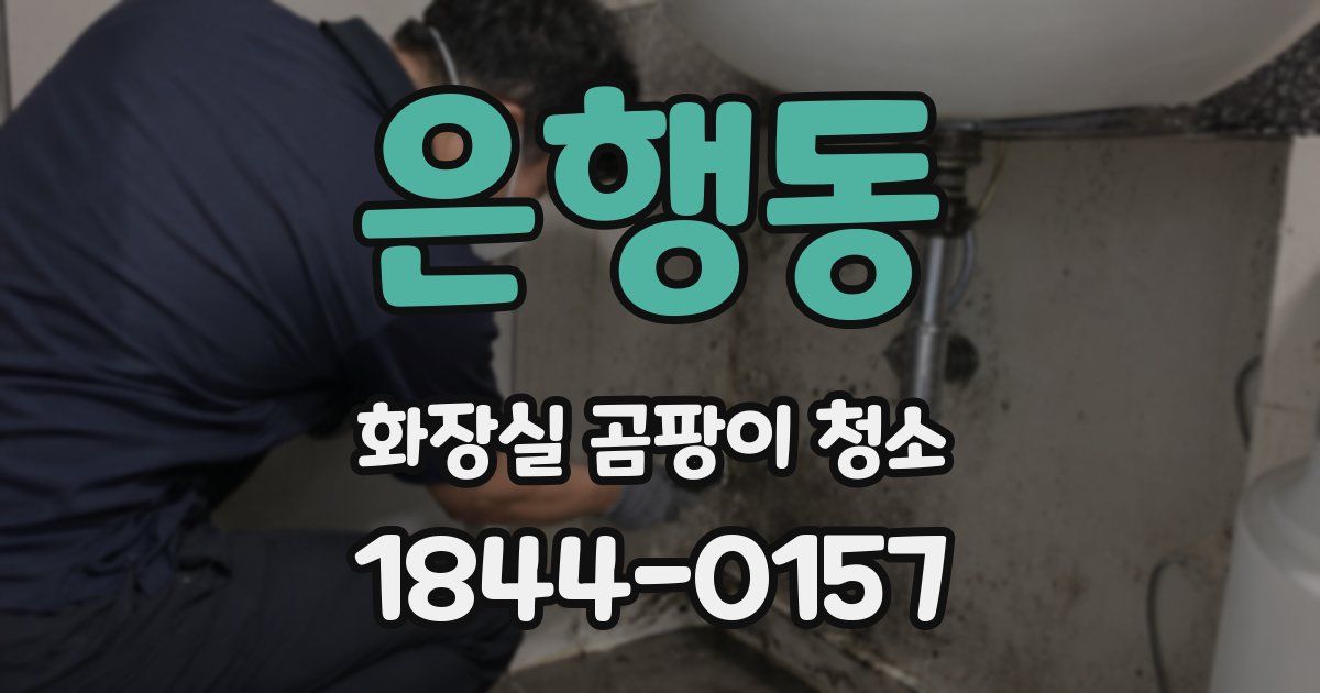 은행동 화장실 곰팡이 청소