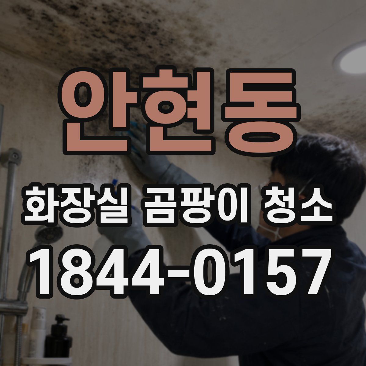 안현동 화장실 곰팡이 청소