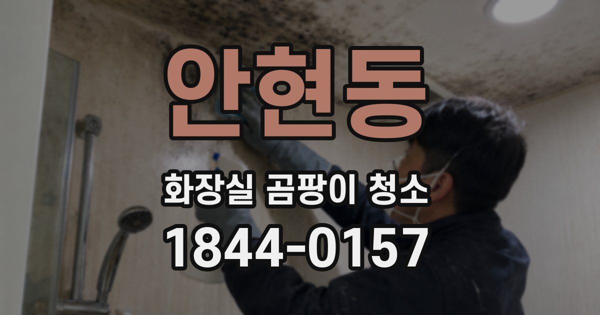 안현동 화장실 곰팡이 청소