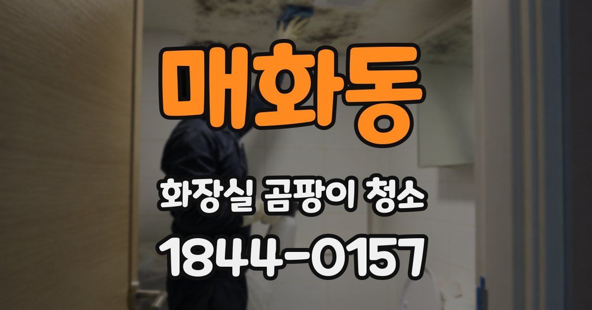 매화동 화장실 곰팡이 청소