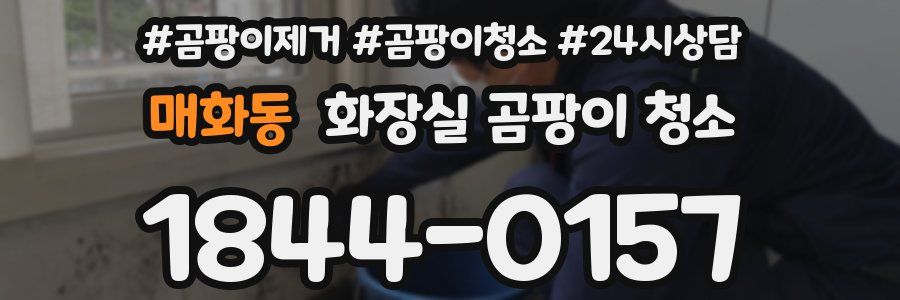 매화동 화장실 곰팡이 청소