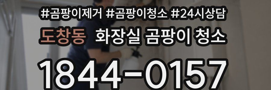 도창동 화장실 곰팡이 청소
