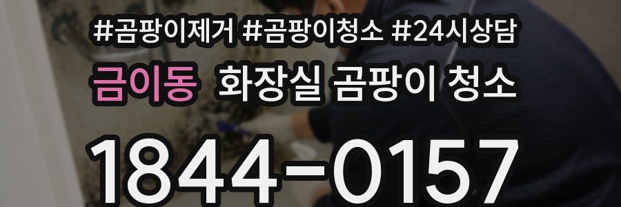 금이동 화장실 곰팡이 청소