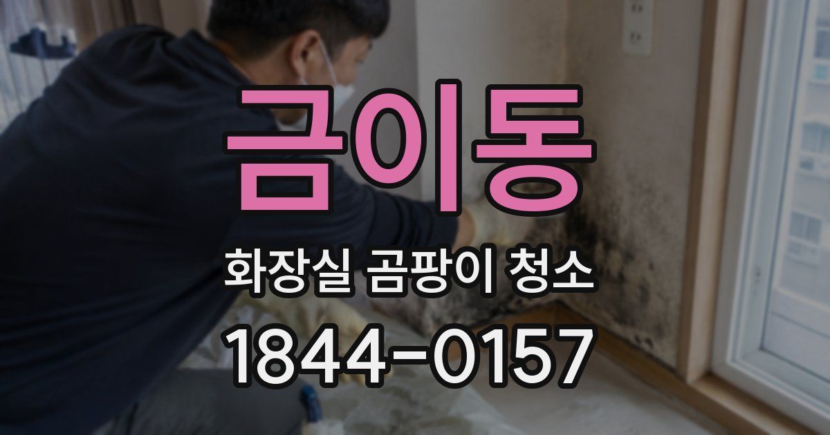 금이동 화장실 곰팡이 청소