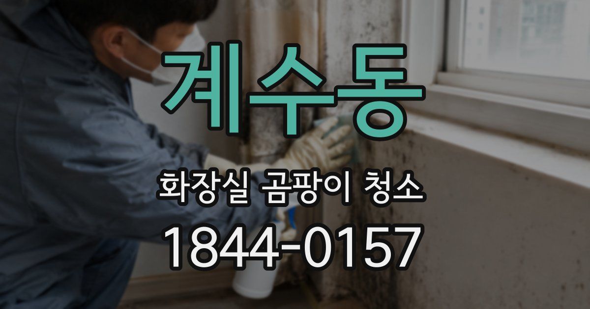 계수동 화장실 곰팡이 청소