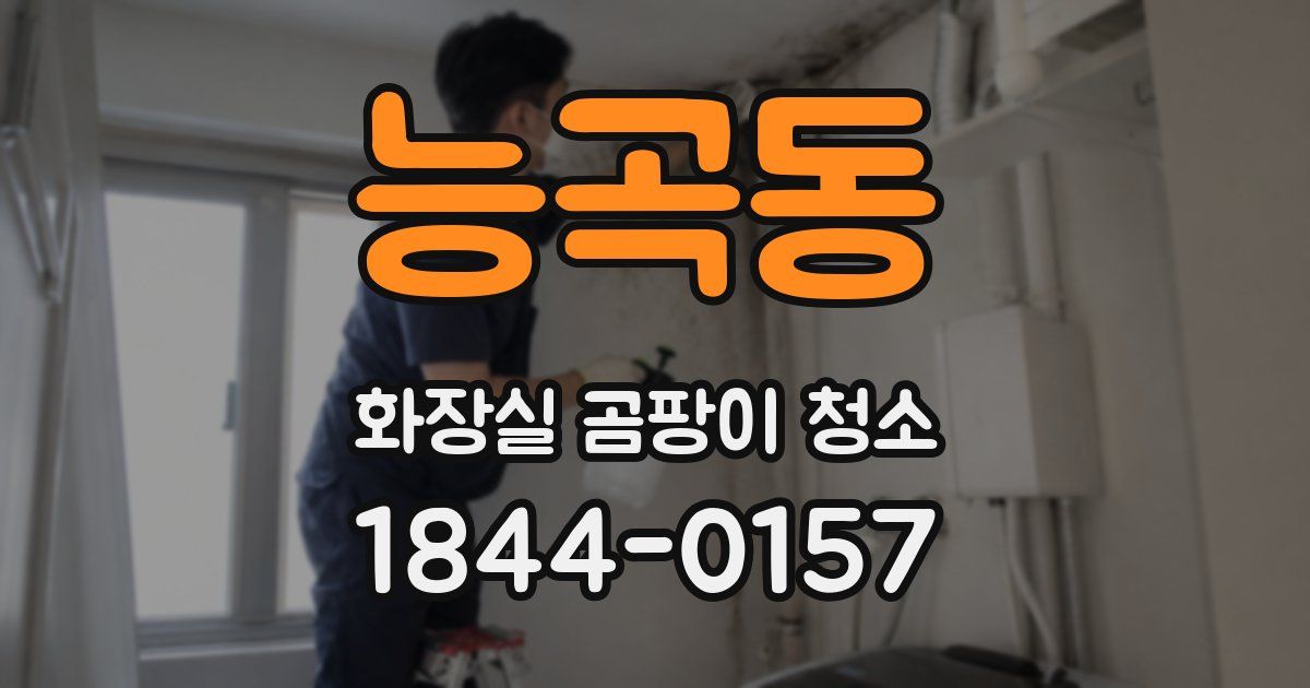 능곡동 화장실 곰팡이 청소